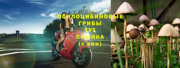 скорость mdpv Белокуриха